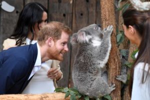Harry und Meghan erste Überseetour